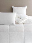 Scandia Down Prague Down Pillows