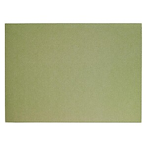 Bodrum Skate Willow Green Rectangle Easy Care Placemats - Set of 4