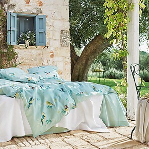 Schlossberg Chirp Vert Bedding