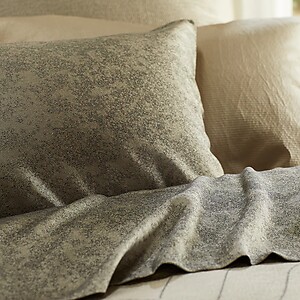 SDH Speckle