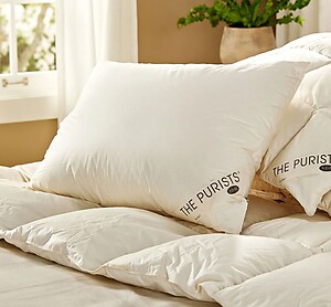 SDH The Purists Down Filled Pillows