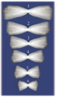 Cotton Staple Length Chart