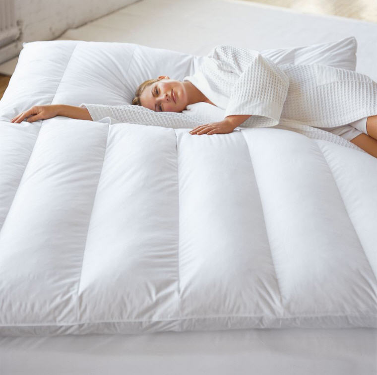 Plush Down Free Featherbed by Scandia Home J Brulee Home