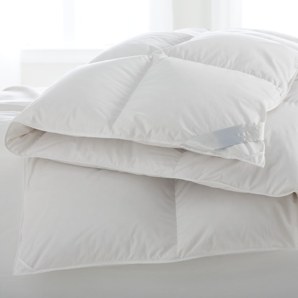 Scandia Home Salzburg Down Comforters. Polish Goose Down J Brulee