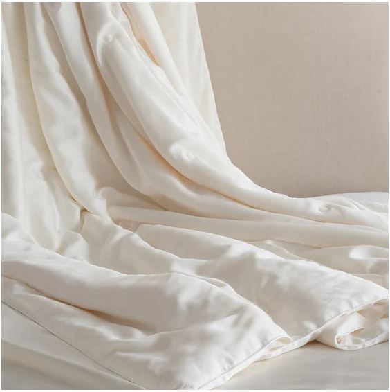 Silk Filled Duvet by St Geneve J Brulee Home