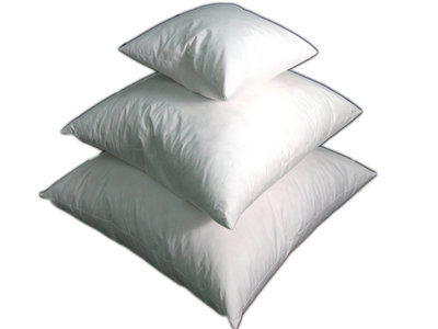 Feather Pillow Inserts by St. Geneve