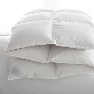 Scandia Down Lucerne Down Comforter