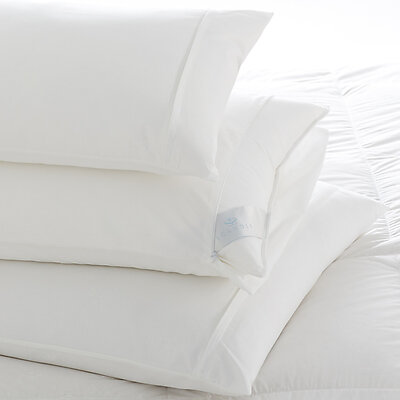 Cotton Pillow Protectors by Scandia Down