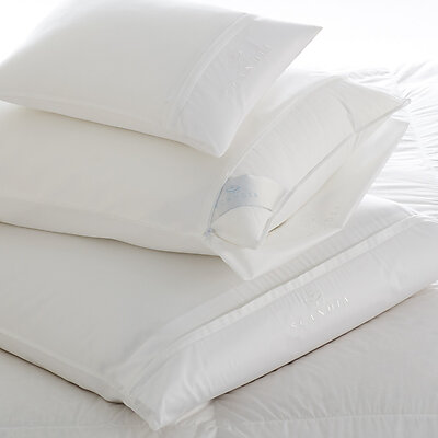 Luxury Cotton Pillow Protectors by Scandia Down