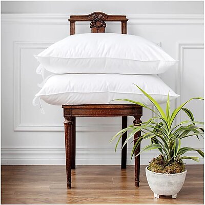Chateau Down & Feather Pillow by St. Geneve