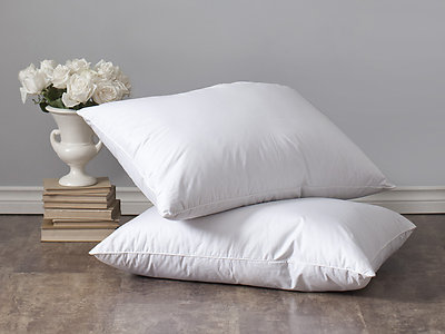 Lajord Down Pillows by St. Geneve