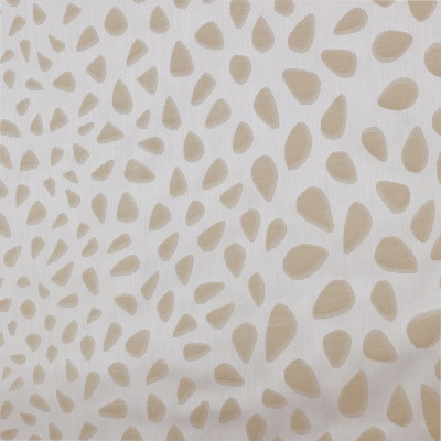 bali-fawn1.jpg