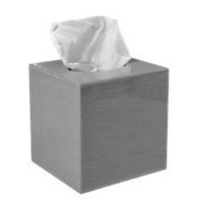 boutique-tissue.JPG