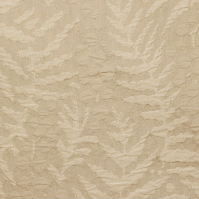 filice-latte.jpg
