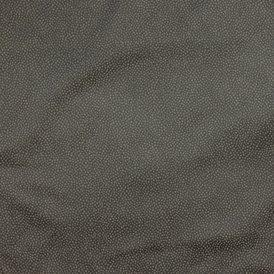 gobi-midnight.jpg