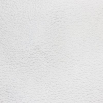 gobi-white.jpg