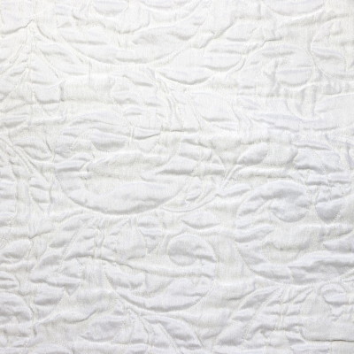 jasmine-snow-white.jpg