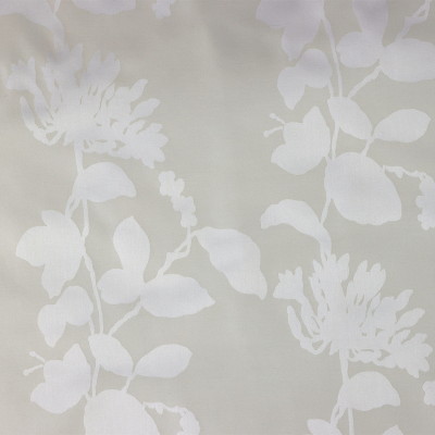 ombre-fraiche.jpg
