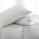 Scandia Home Salzburg Down Pillows - Polish White Goose Down