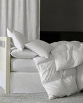 Sferra Cardigan Down Comforters and Pillows