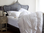 Eiderdown Comforter - Cotton Covered by St. Geneve