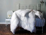 Polish Down Comforters - Ziegler by St. Geneve